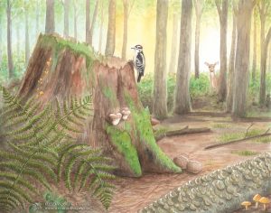 Illustration